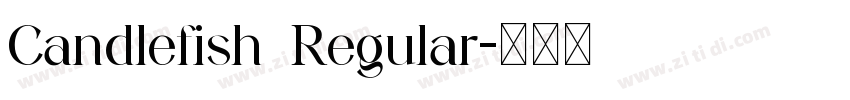 Candlefish Regular字体转换